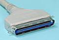 Centronics 50-pin male with clips